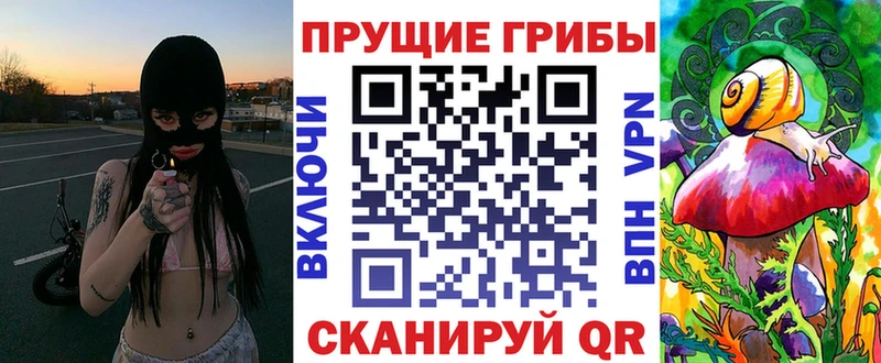 это телеграм  Азов  Псилоцибиновые грибы MAGIC MUSHROOMS 