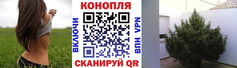 Канабис ГИДРОПОН  где можно купить   Азов 